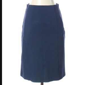 Navy Theory Skirt EUC